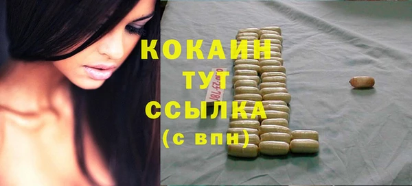 твердый Михайлов