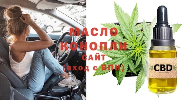 твердый Михайлов