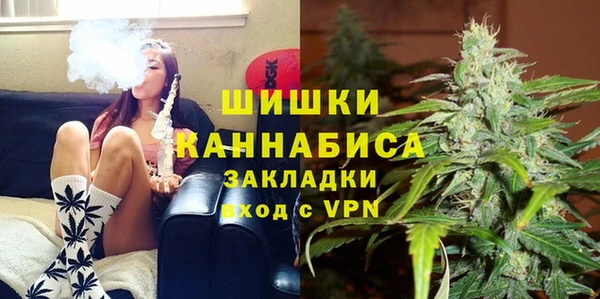 твердый Михайлов