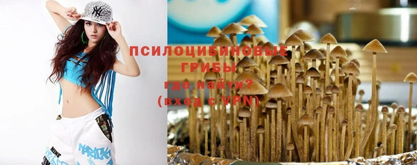 эйфоретик Михайловск