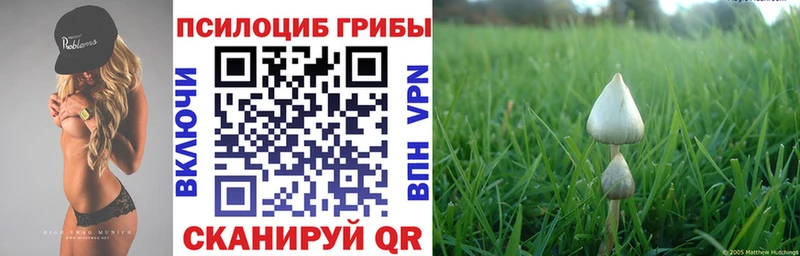 Галлюциногенные грибы MAGIC MUSHROOMS  Камбарка 